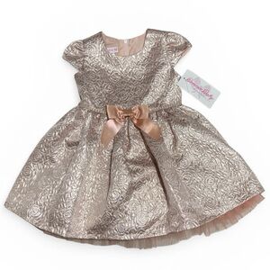 Bonnie Baby Little Girl 2 Piece Pink Formal Dress Size 24 Months